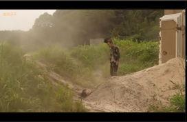 速成沼泽,揭秘高效生态循环的绿色奇迹